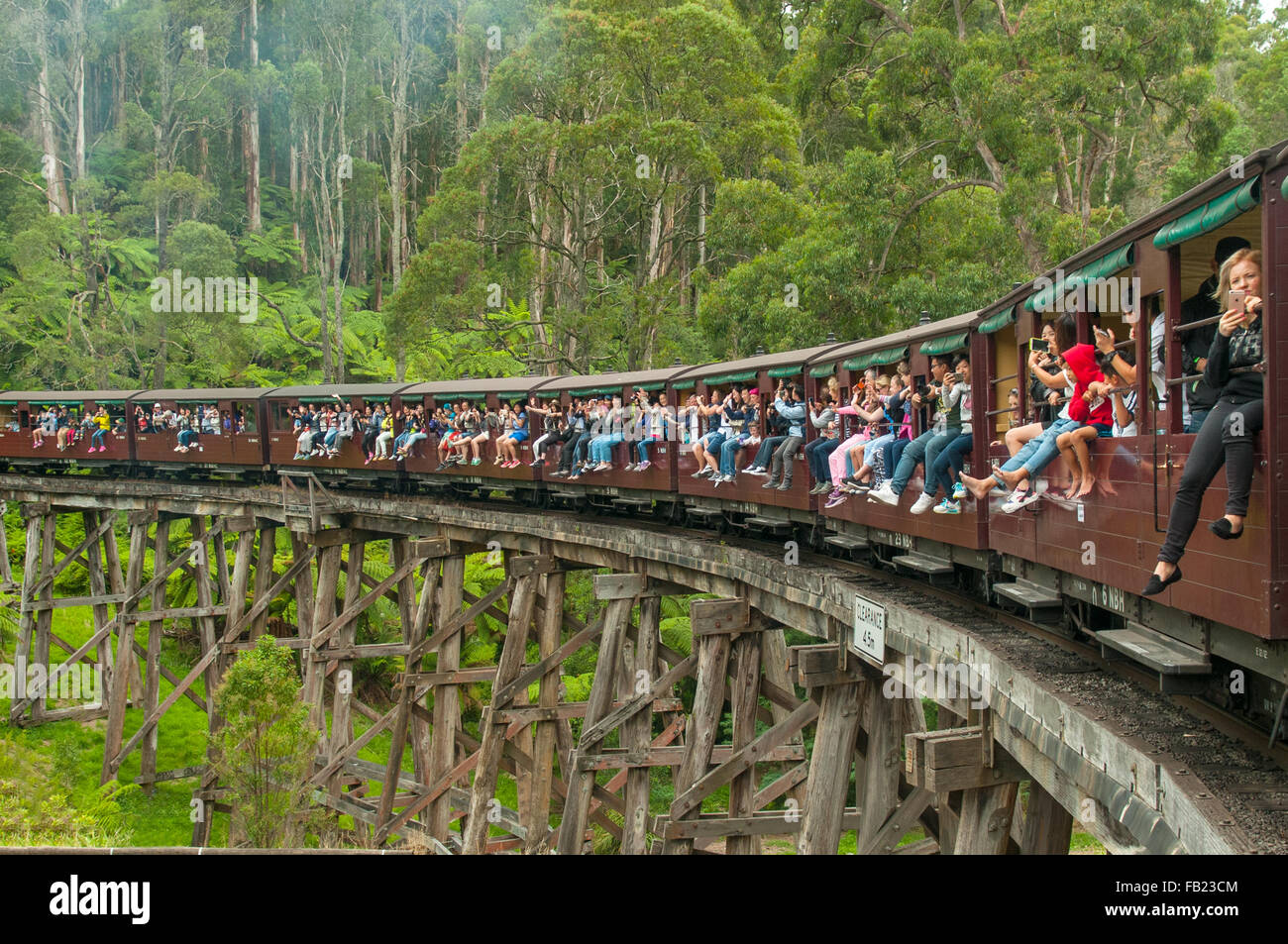 Puffing Billy on Selby Trestle Bridge, near Melbourne, Victoria
