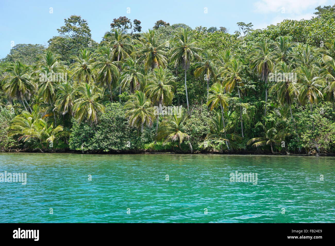 Wild tropical coast with lush vegetation viewed from the sea, Loma Partida island, Bocas del Toro, Panama, Central America Stock Photo