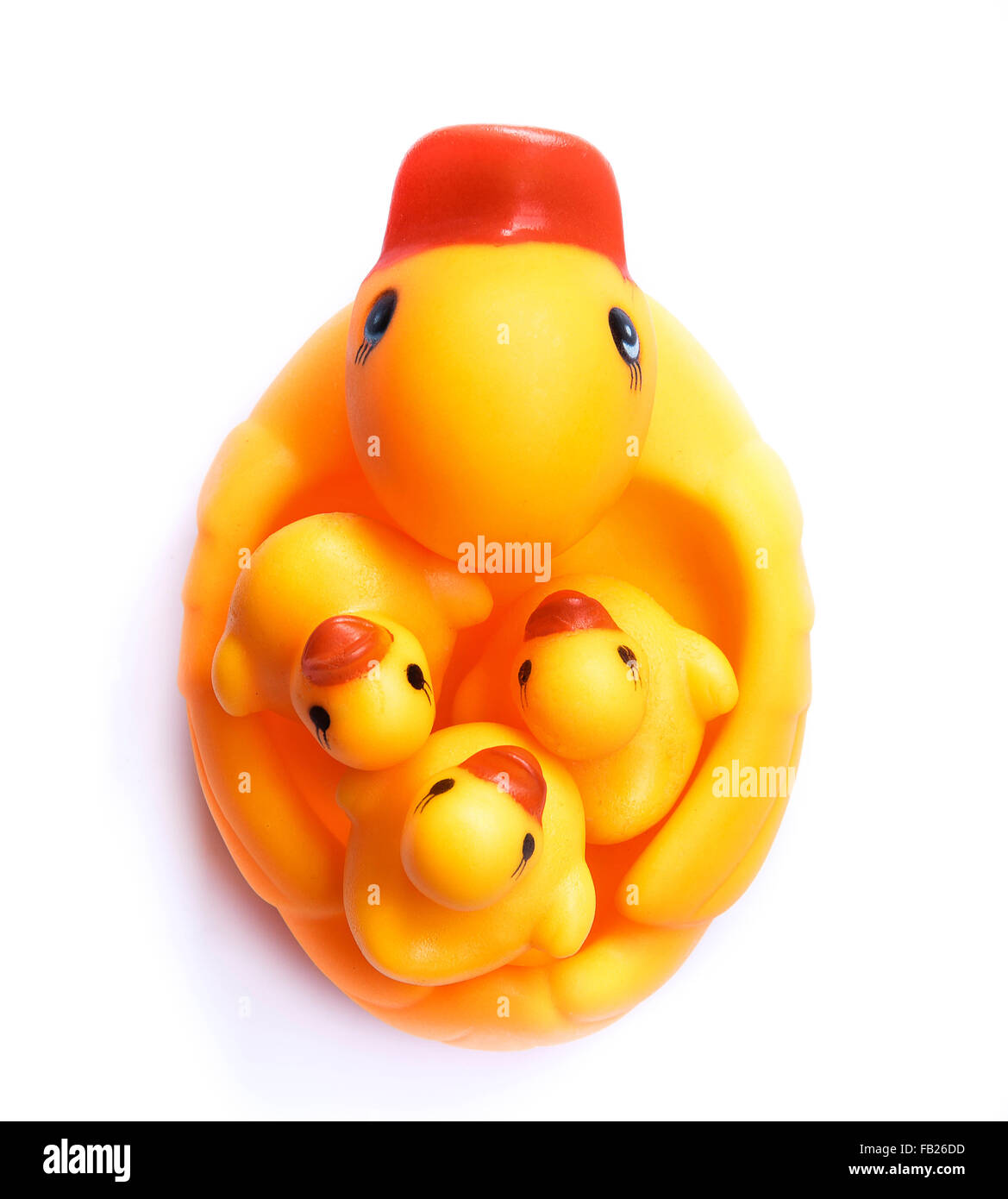 Yellow rubber duck on White Background Stock Photo - Alamy