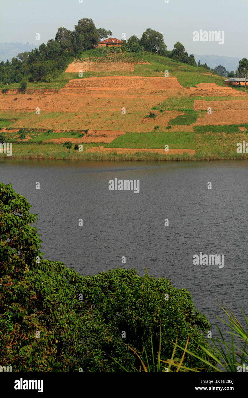 A farm with planted fields on an island hill in Lake Bunyoni, Uganda. Stock Photo
