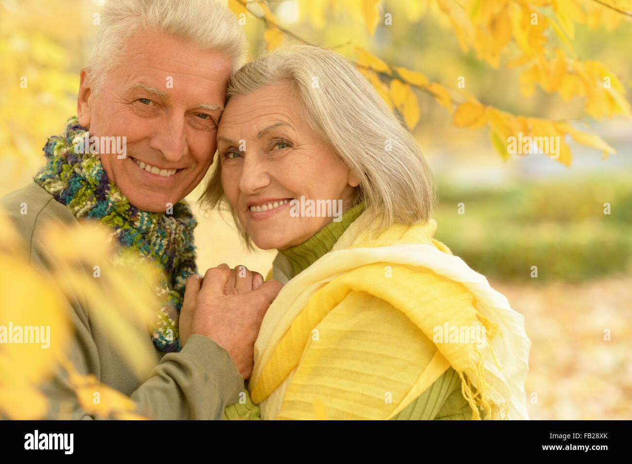 Senior couple in autumn park Stock Photo - Alamy