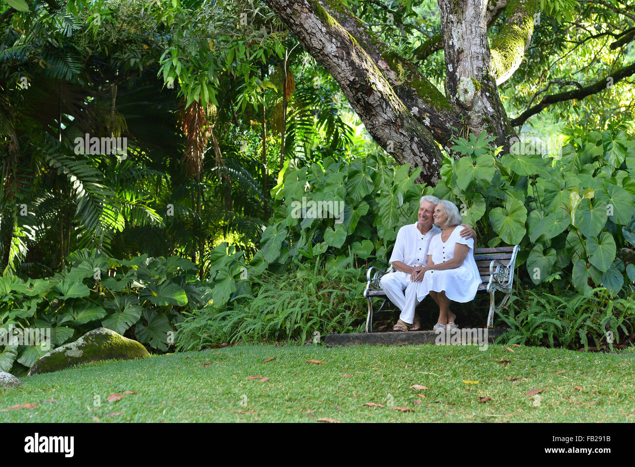 Elderly couple sitting on a bench outdoors Stock Photo - Alamy