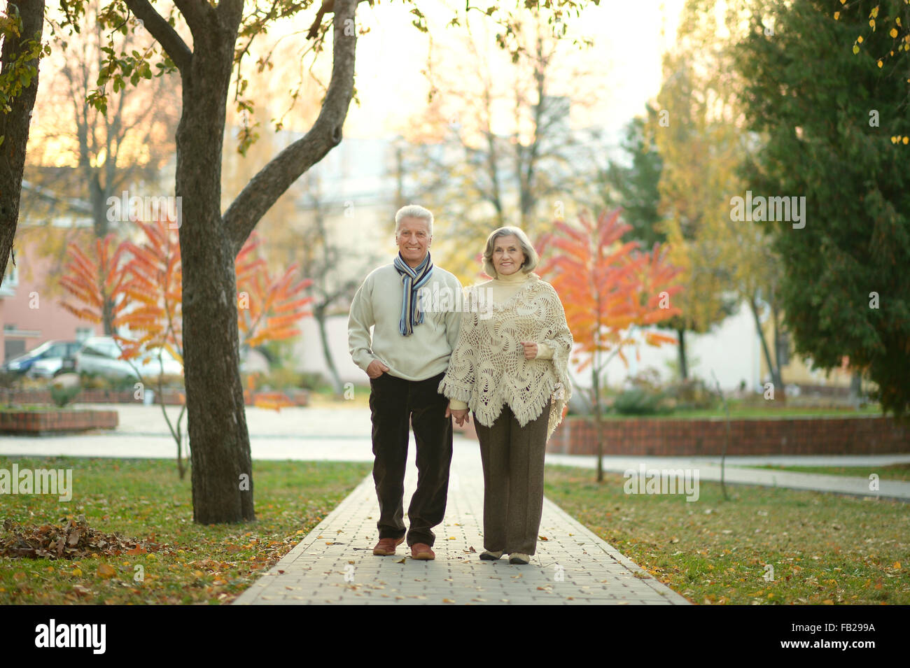 Senior couple in autumn park Stock Photo - Alamy