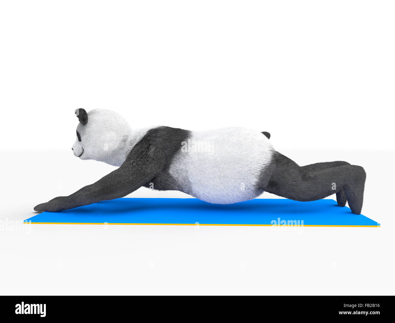 push-ups by animal character athlete illustration Stock Photo