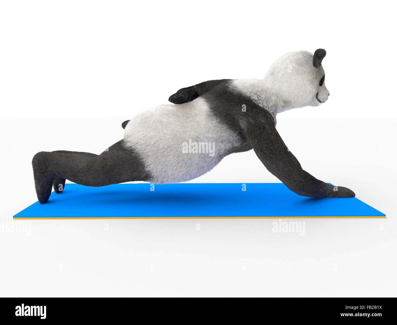 push-ups by animal character athlete illustration Stock Photo