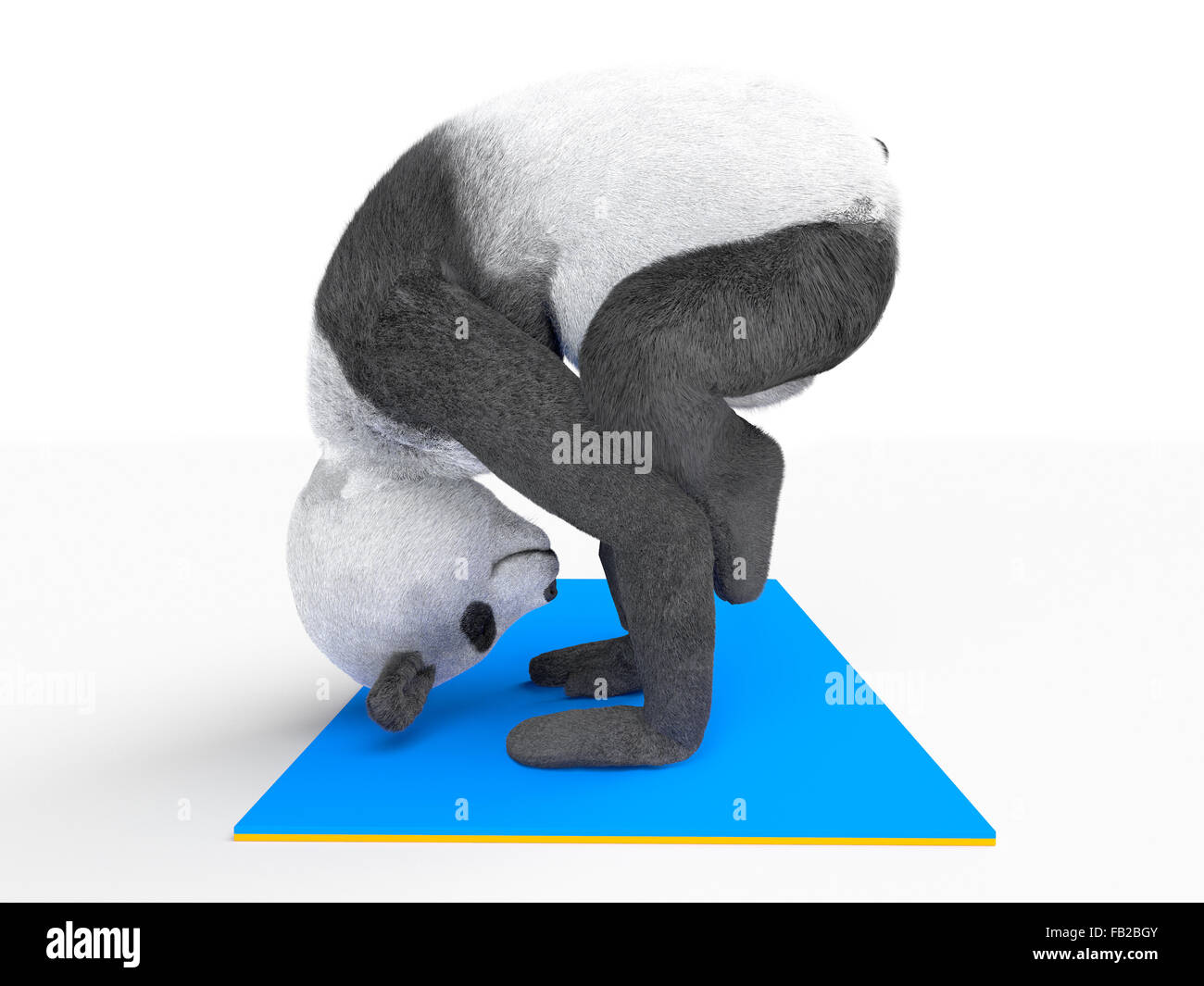 animal character personage panda doing yoga Stock Photo