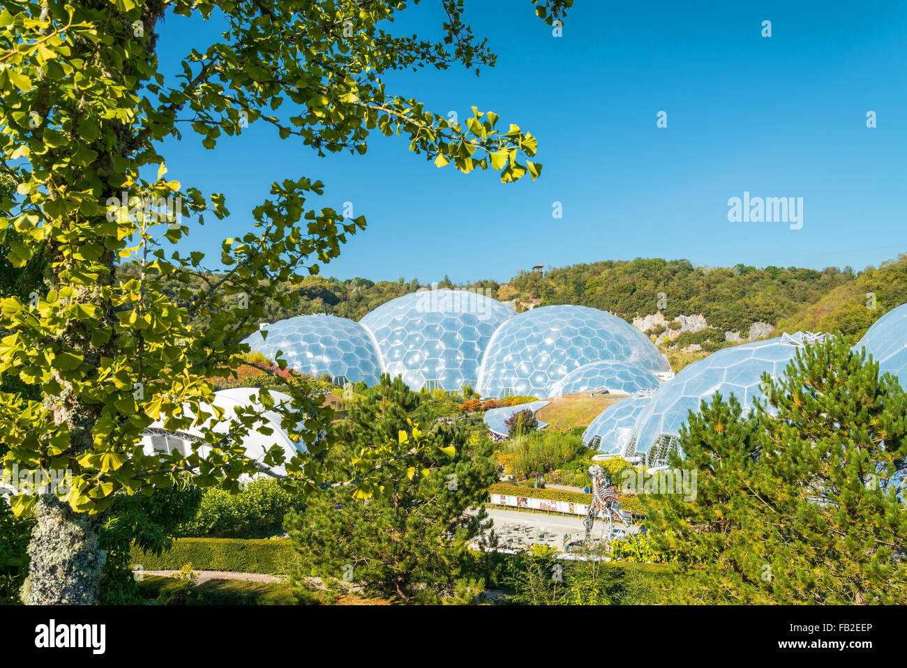 View of the Eden Project Stock Photo Alamy