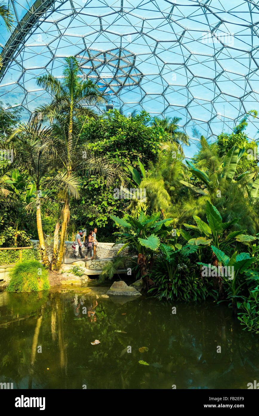 Eden Project indoor Stock Photo - Alamy