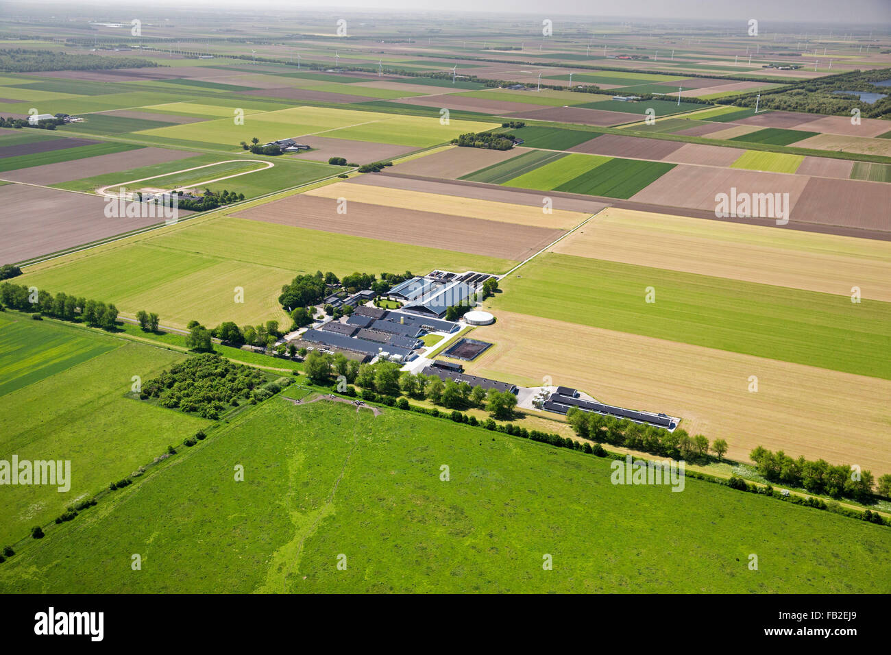 Netherlands, Lelystad, Farms, farmland, aeria. Flevopolder. Stock Photo