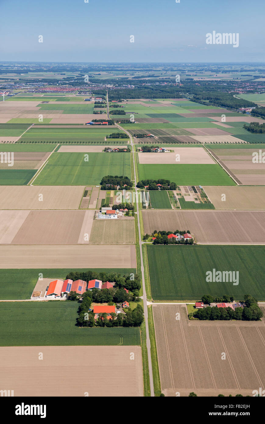 Netherlands, Lelystad, Farms, farmland, aeria. Flevopolder. Stock Photo