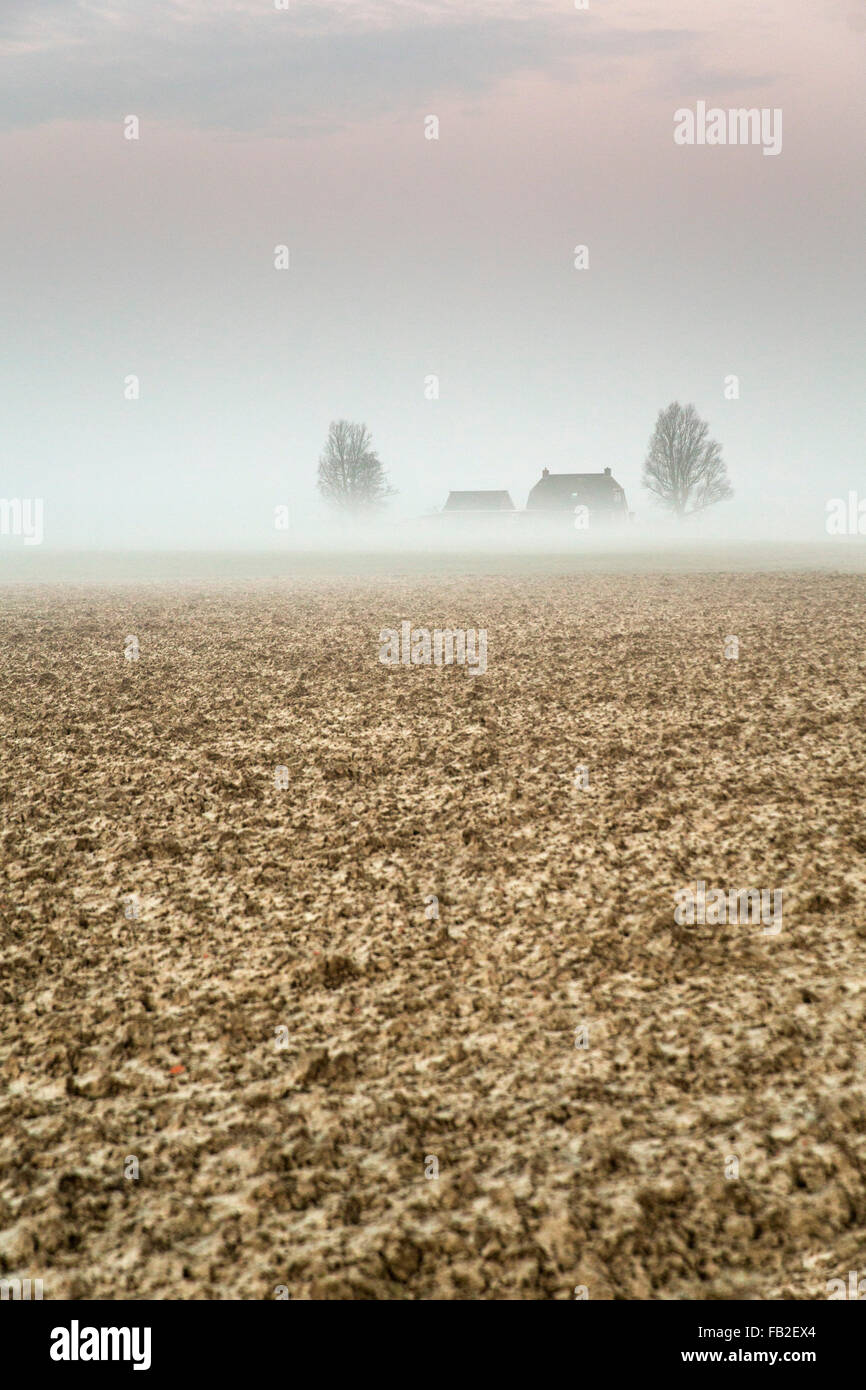 Netherlands, Ee, Farm and plowed farmland in morning mist Stock Photo