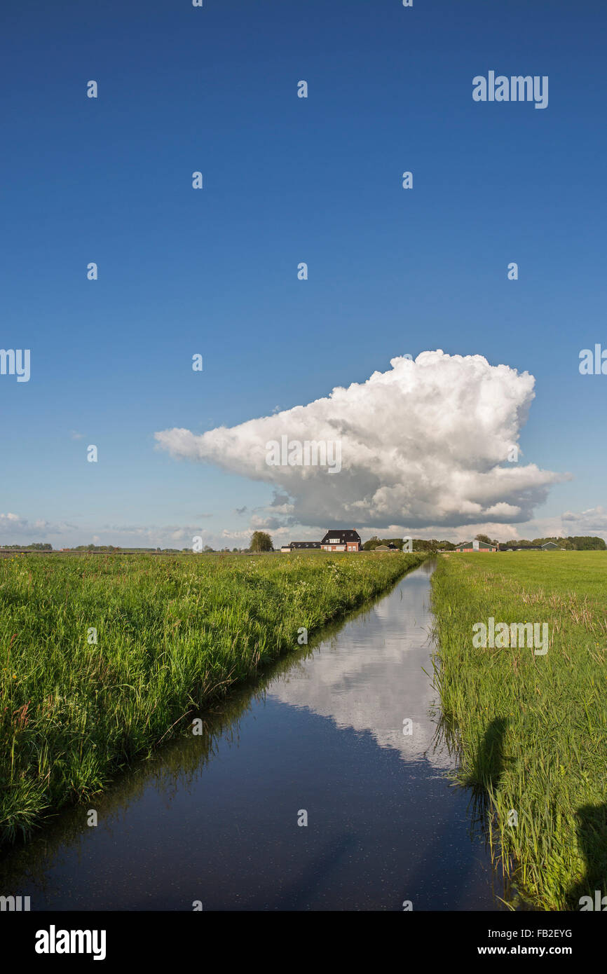 Netherlands, Lichtaard, Polder landscape Stock Photo