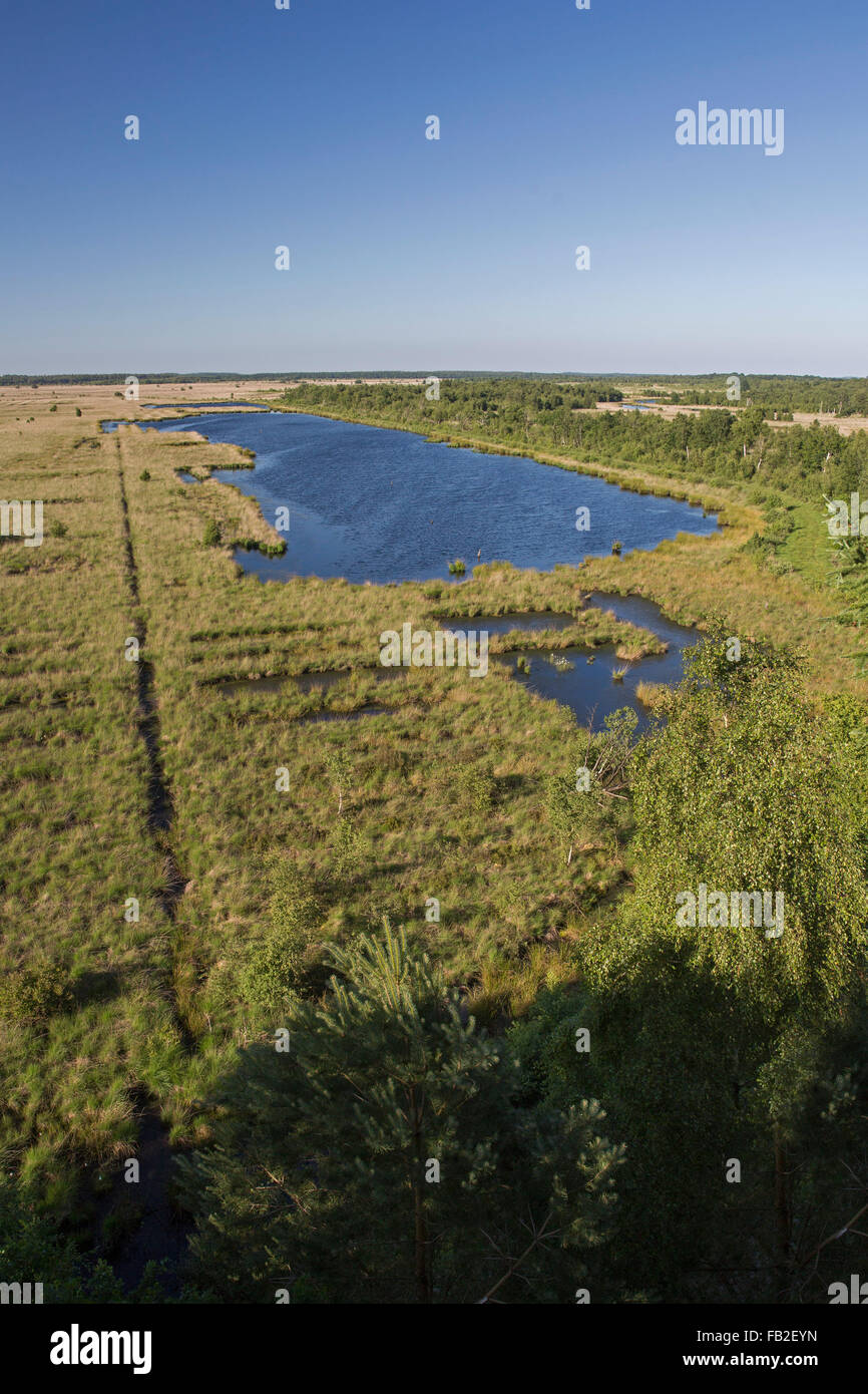 Netherlands, Fochteloo, Nature reserve Fochteloerveen. High moor or peat moor. View from watchtower Stock Photo