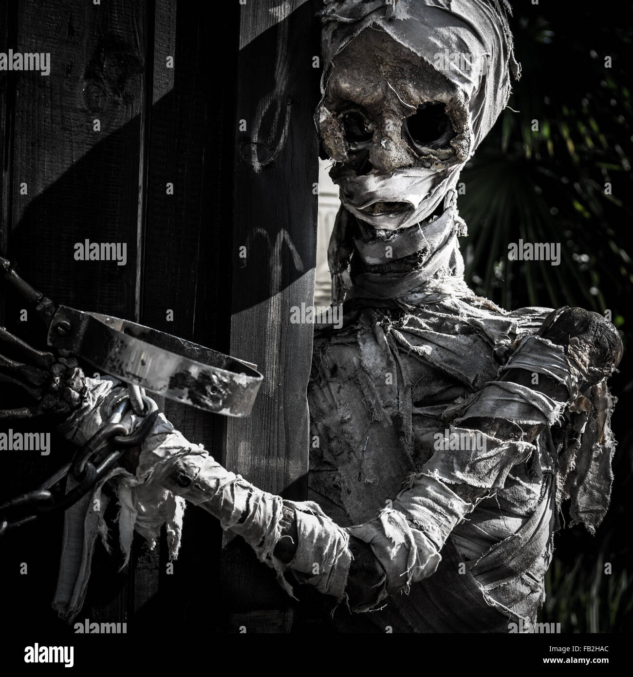 Mummified corpse wrapped in a bandage worn down and rumpled. Stock Photo