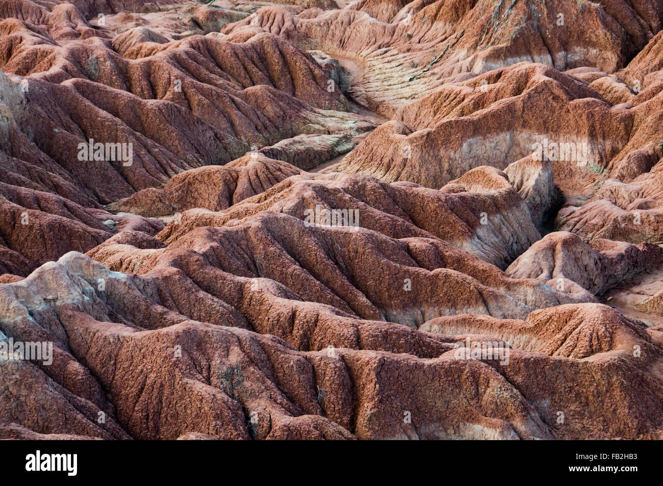 Drought red orange sand stone rock formation in Tatacoa desert, Huila ...