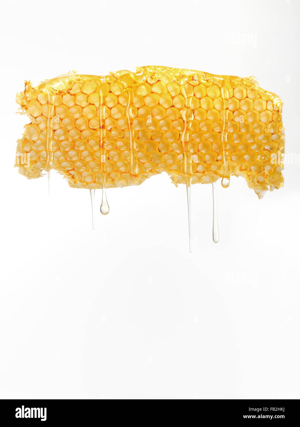 Natural honey dripping from honeycomb Stock Photo