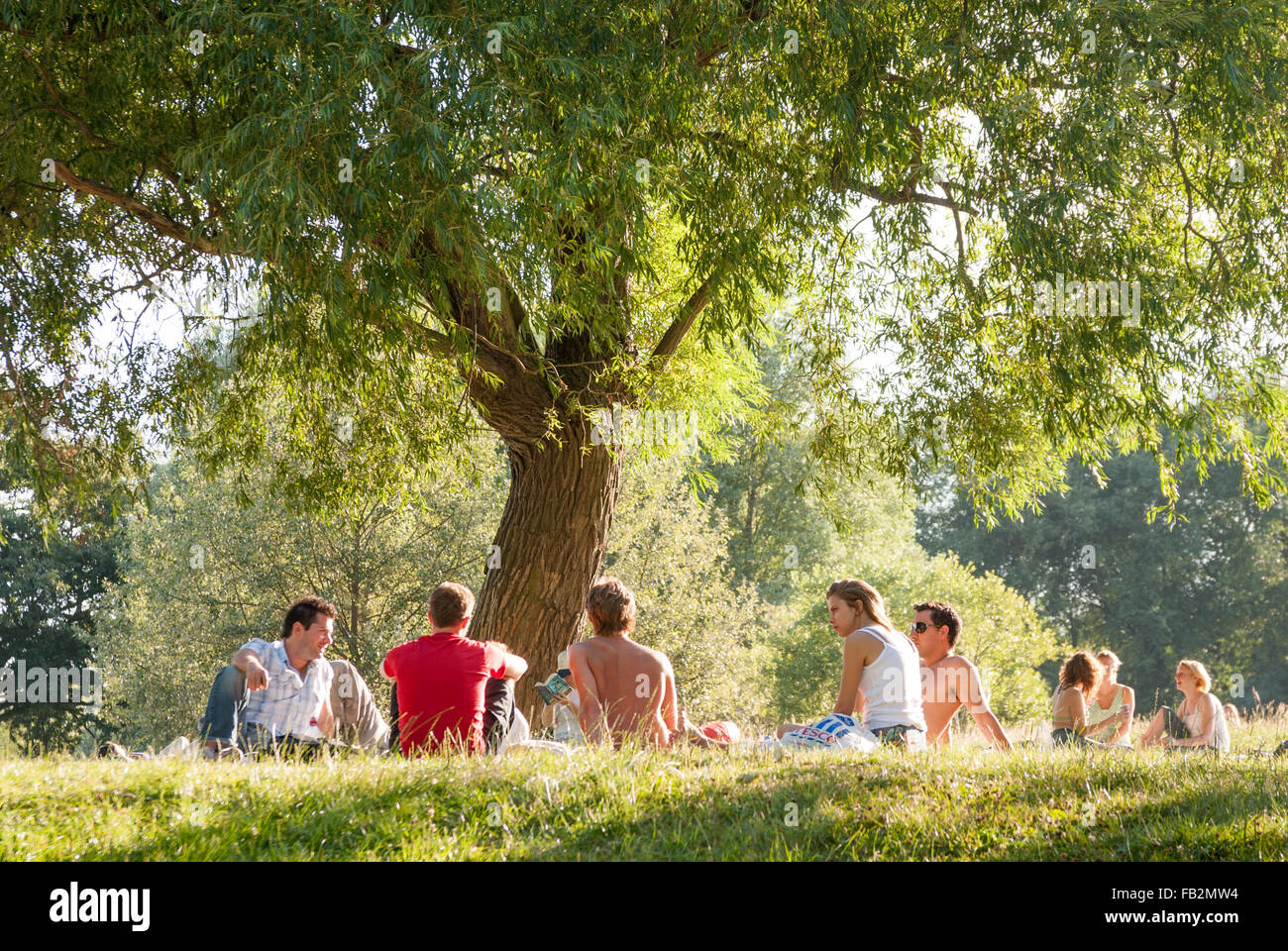 Group of friends relaxing under a tree on Hampstead Heath, London, England, UK Stock Photo