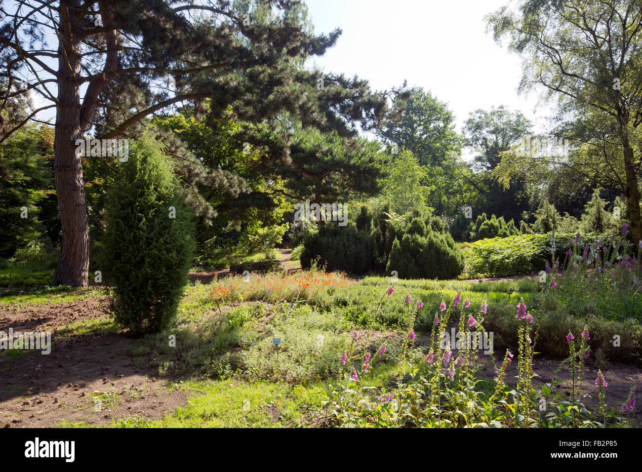 43+ Köln Botanischer Garten, It features many different garden