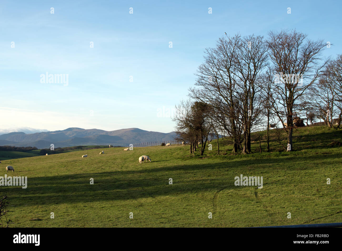 Farmland Colwyn Bay North Wales Stock Photo Alamy