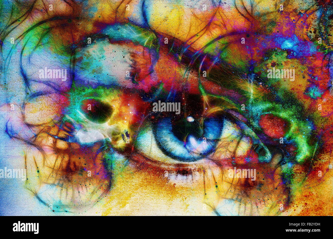 women eye and skull, computer collage, Eye contact Stock Photo - Alamy