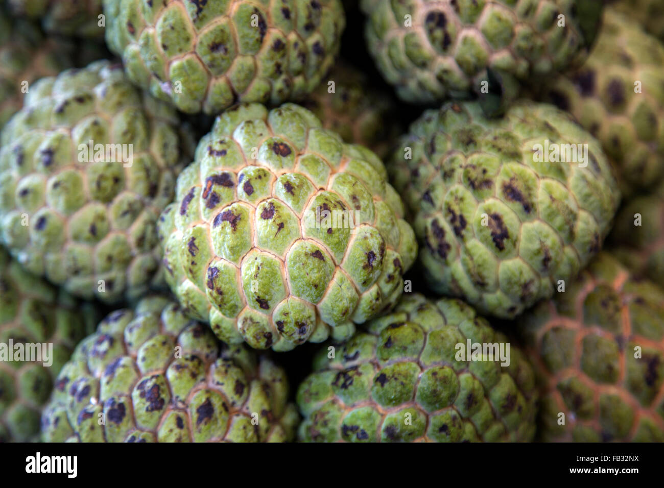Sweetsop hi-res stock photography and images - Alamy