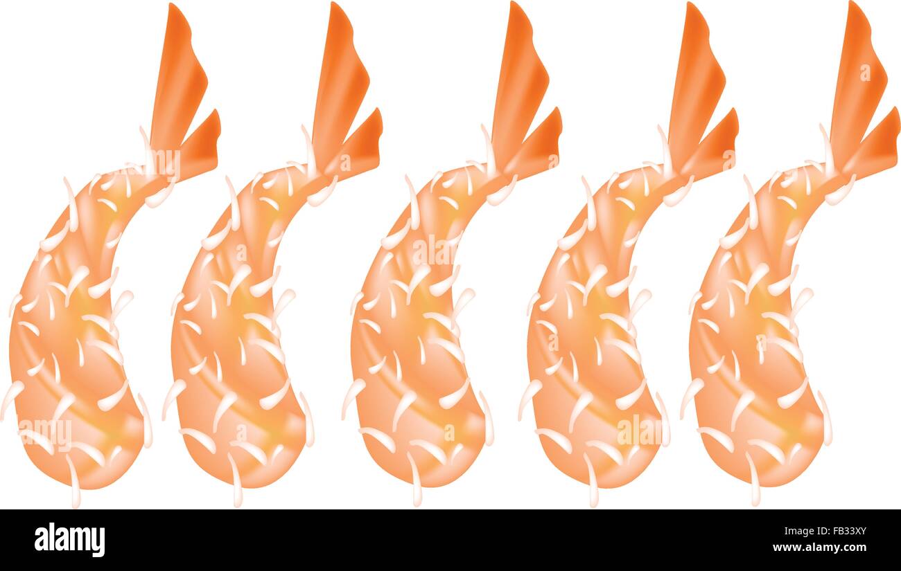 Japanese Cuisine, Illustration of Fresh Ebi Tempura or Deep Fried Shrimps Isolated on White Background. Stock Vector
