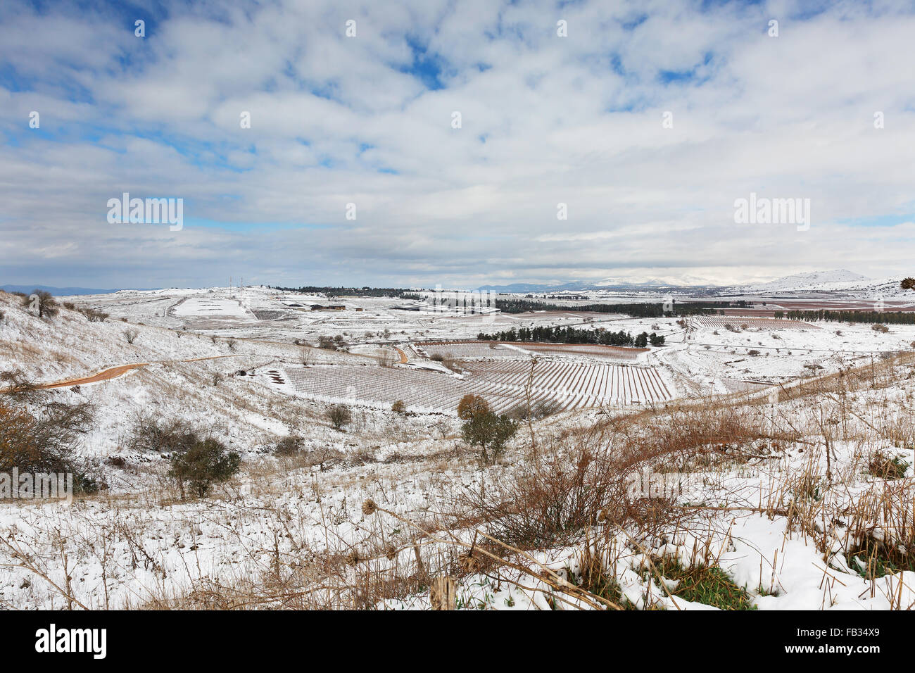 snow, winter landscape in the north of Israel Stock Photo