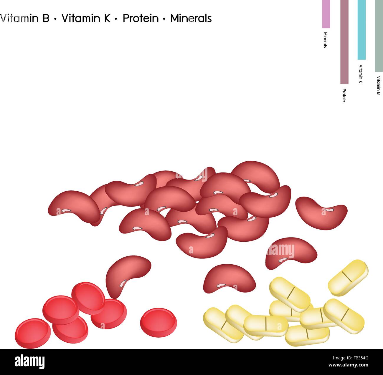 Healthcare Concept, Illustration of Kidney Bean with Vitamin B, Vitamin