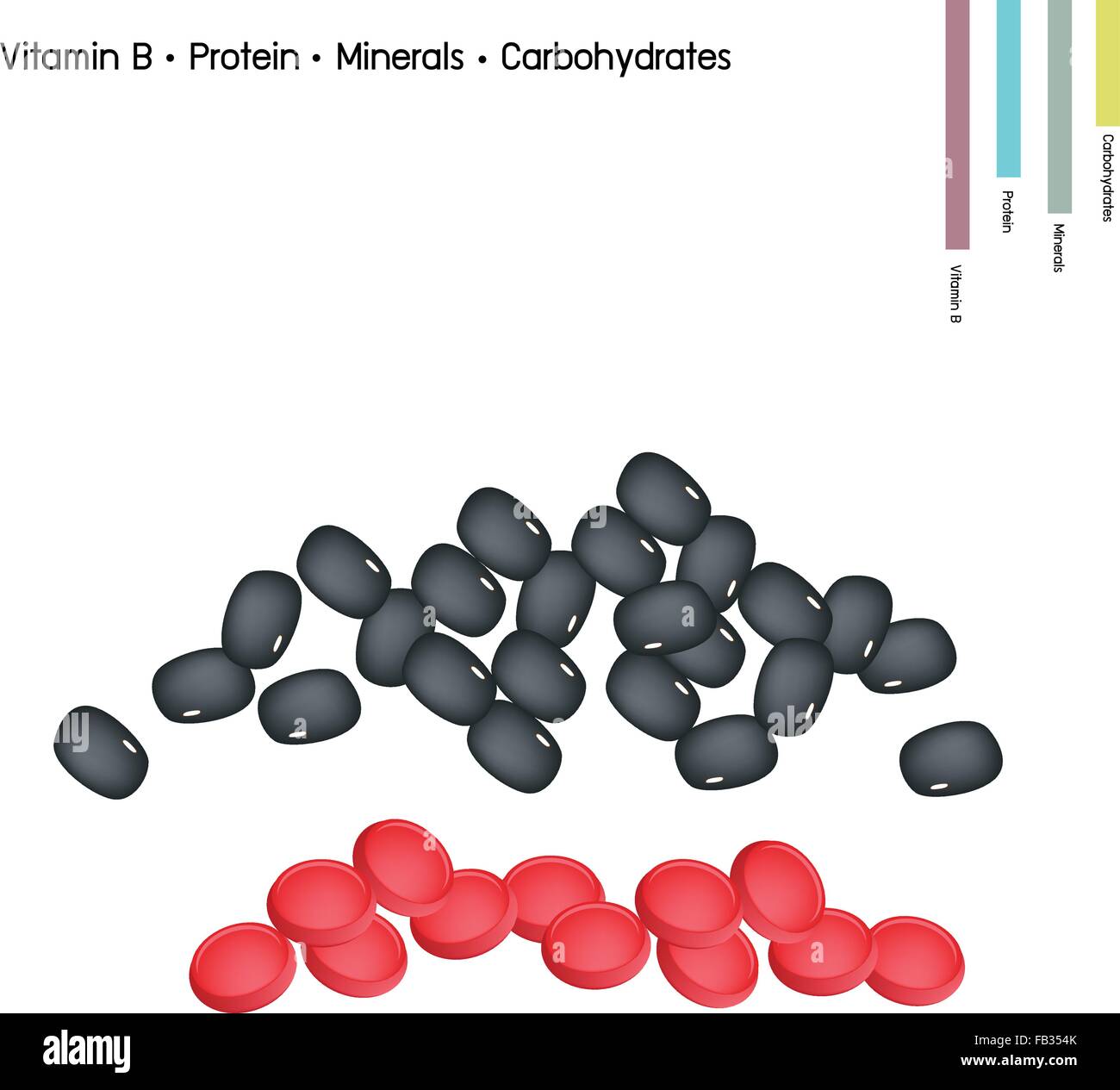 Healthcare Concept, Illustration of Kidney Bean with Vitamin B, Protein