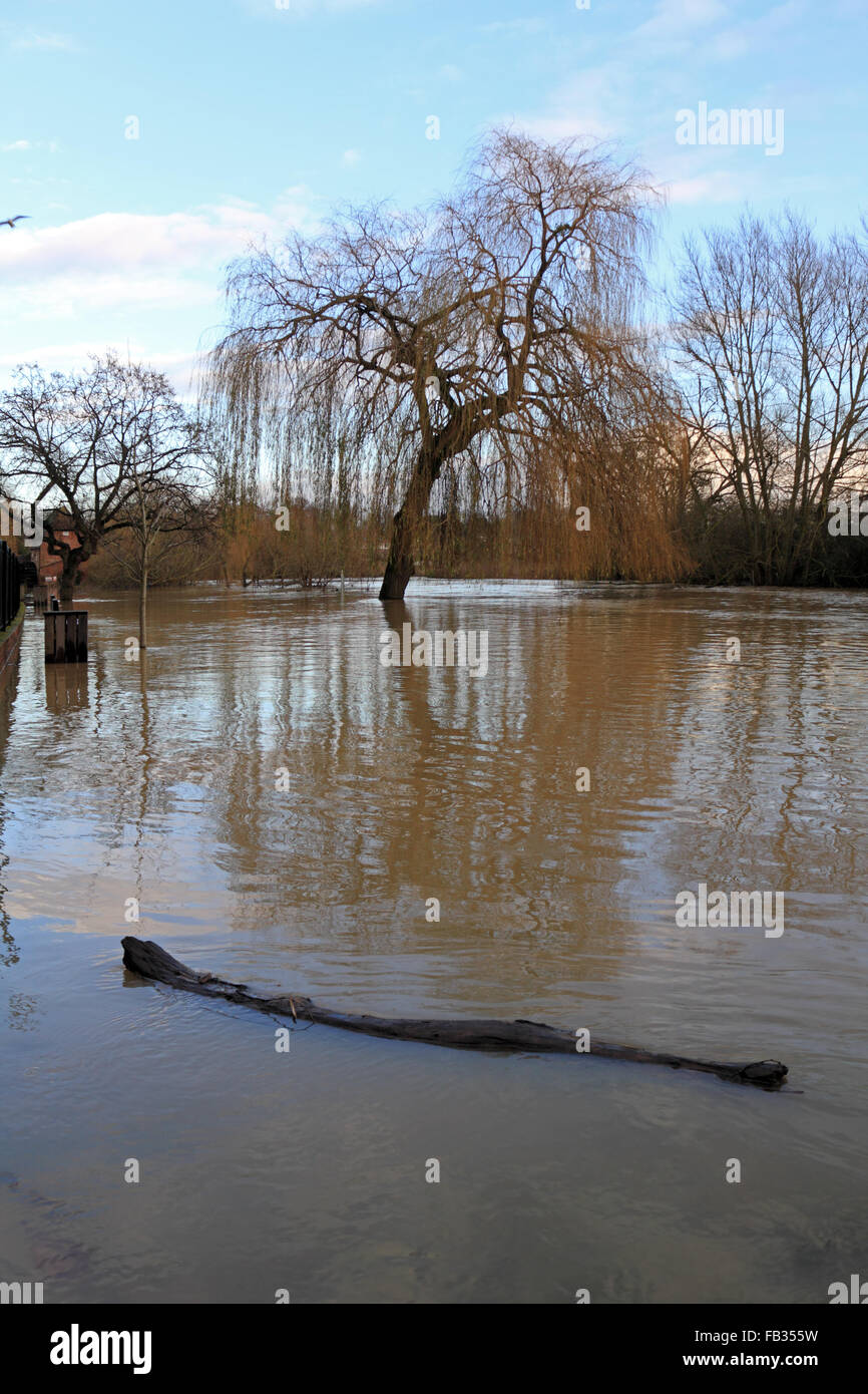 Cobham, Surrey, England, UK. 8th January 2016. As the wet weather