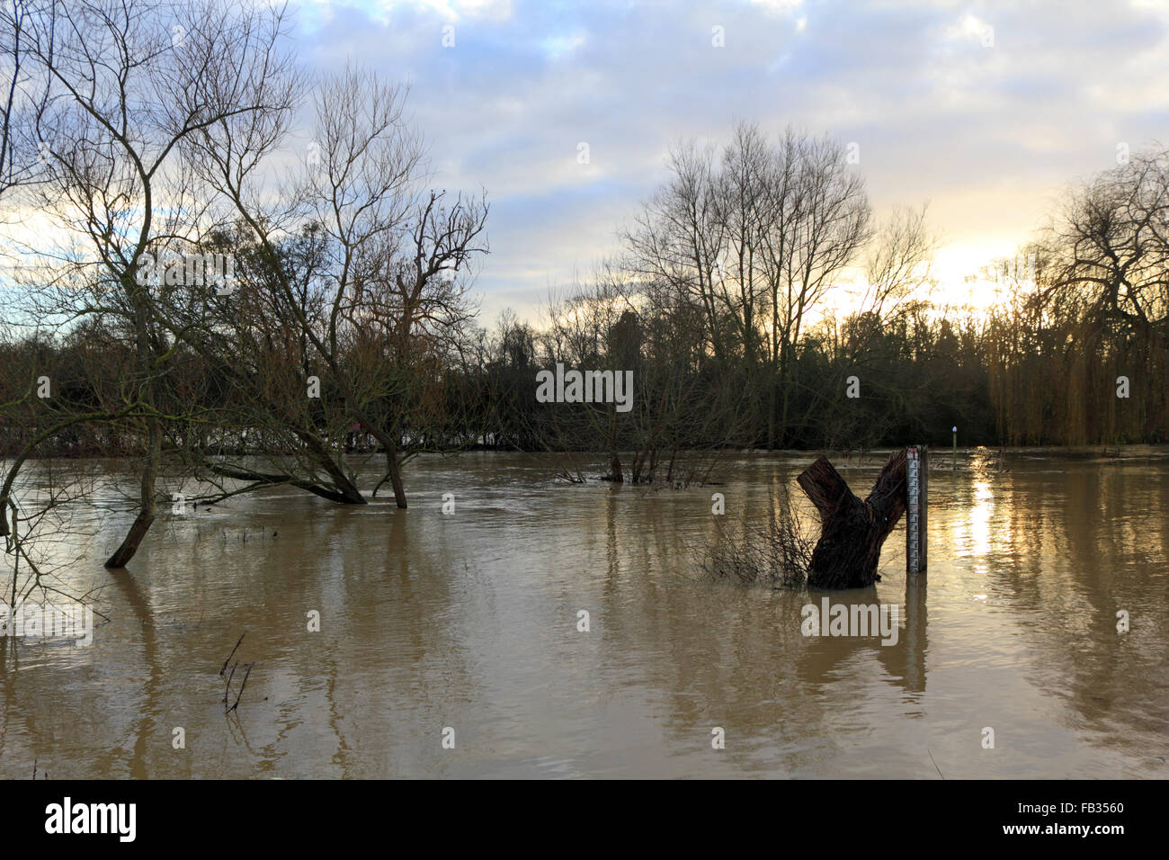 Cobham, Surrey, England, UK. 8th January 2016. As the wet weather