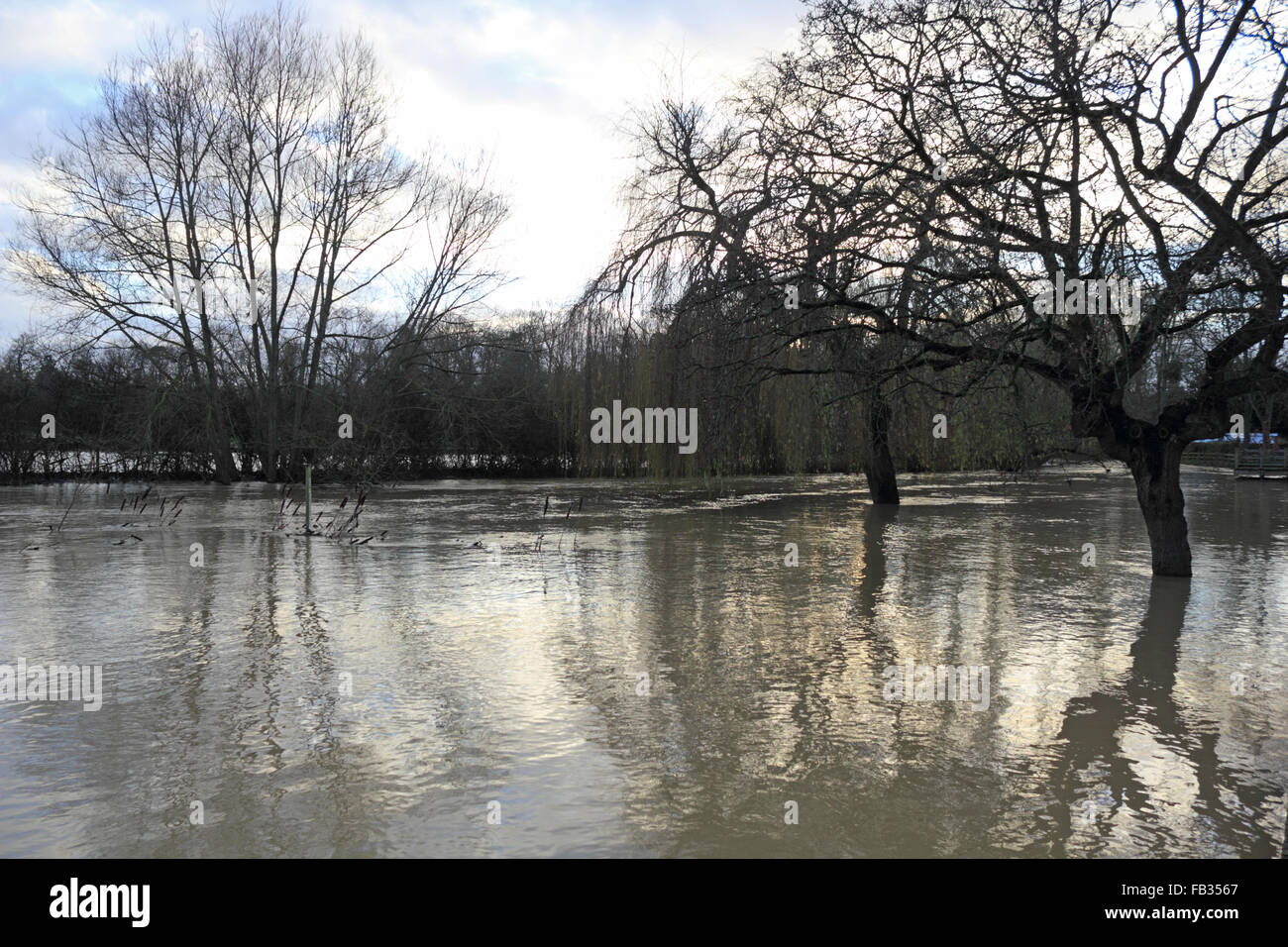 River mole cobham hires stock photography and images Alamy