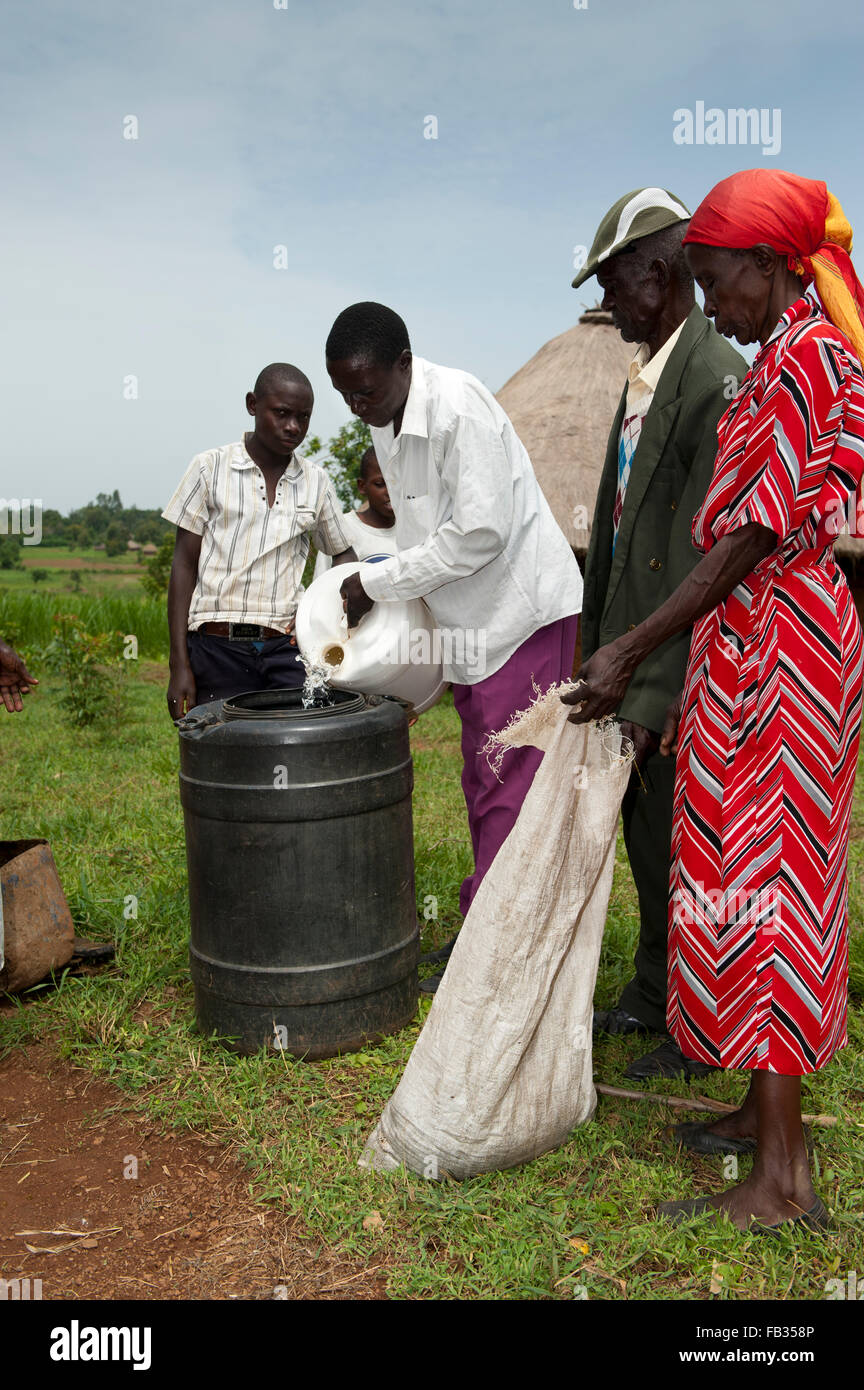 Farmer making liquid fertiliser out cow manure soaked in barrel filled