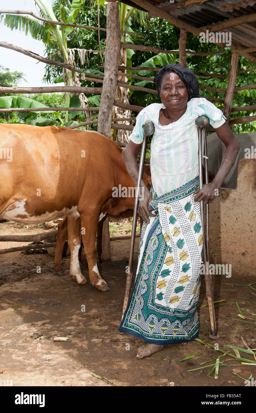 Disabled Kenyan lady on crutches with her dairy cow she recieved from a