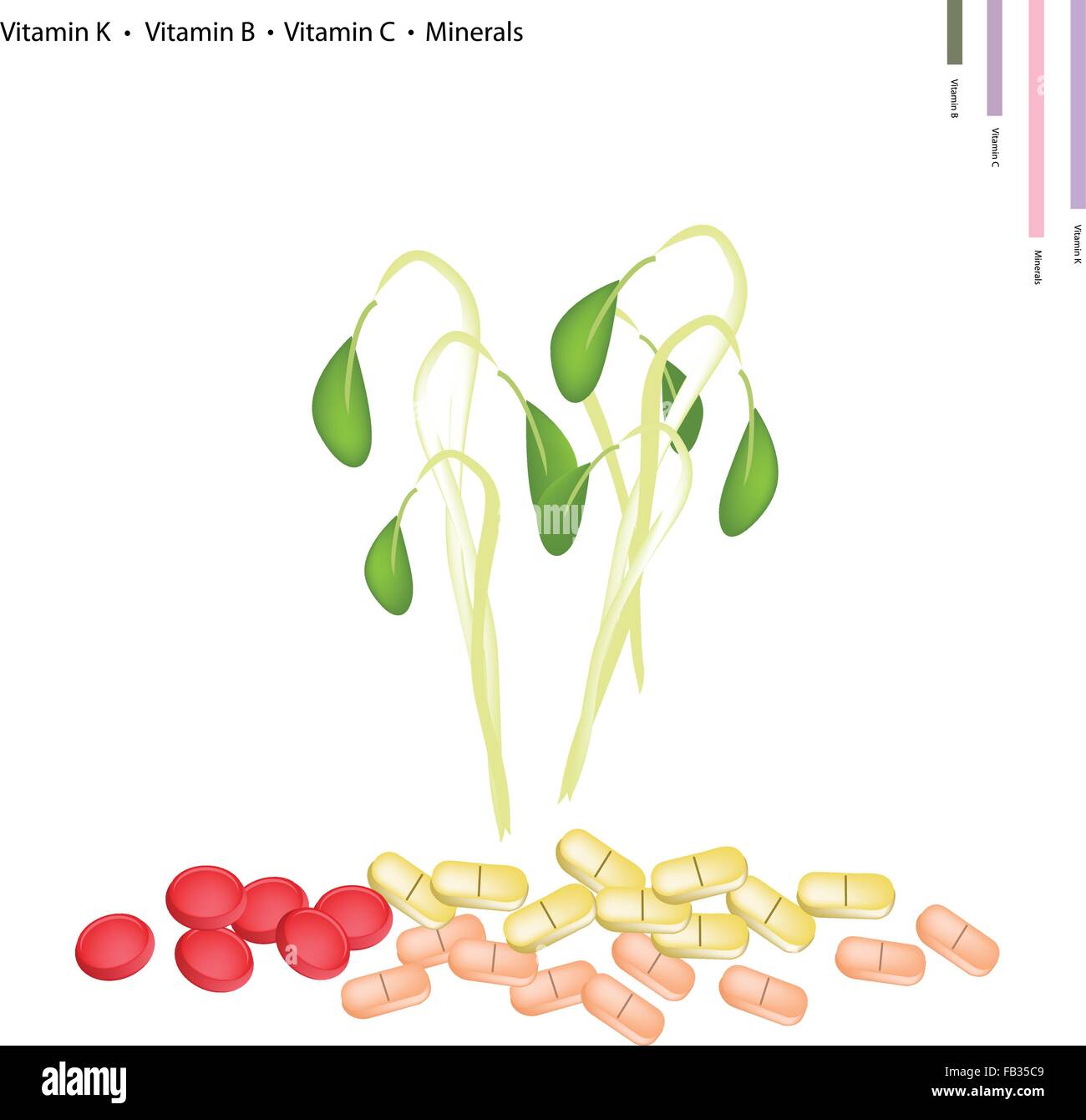 Healthcare Concept, Illustration of Beans Sprouts with Vitamin K