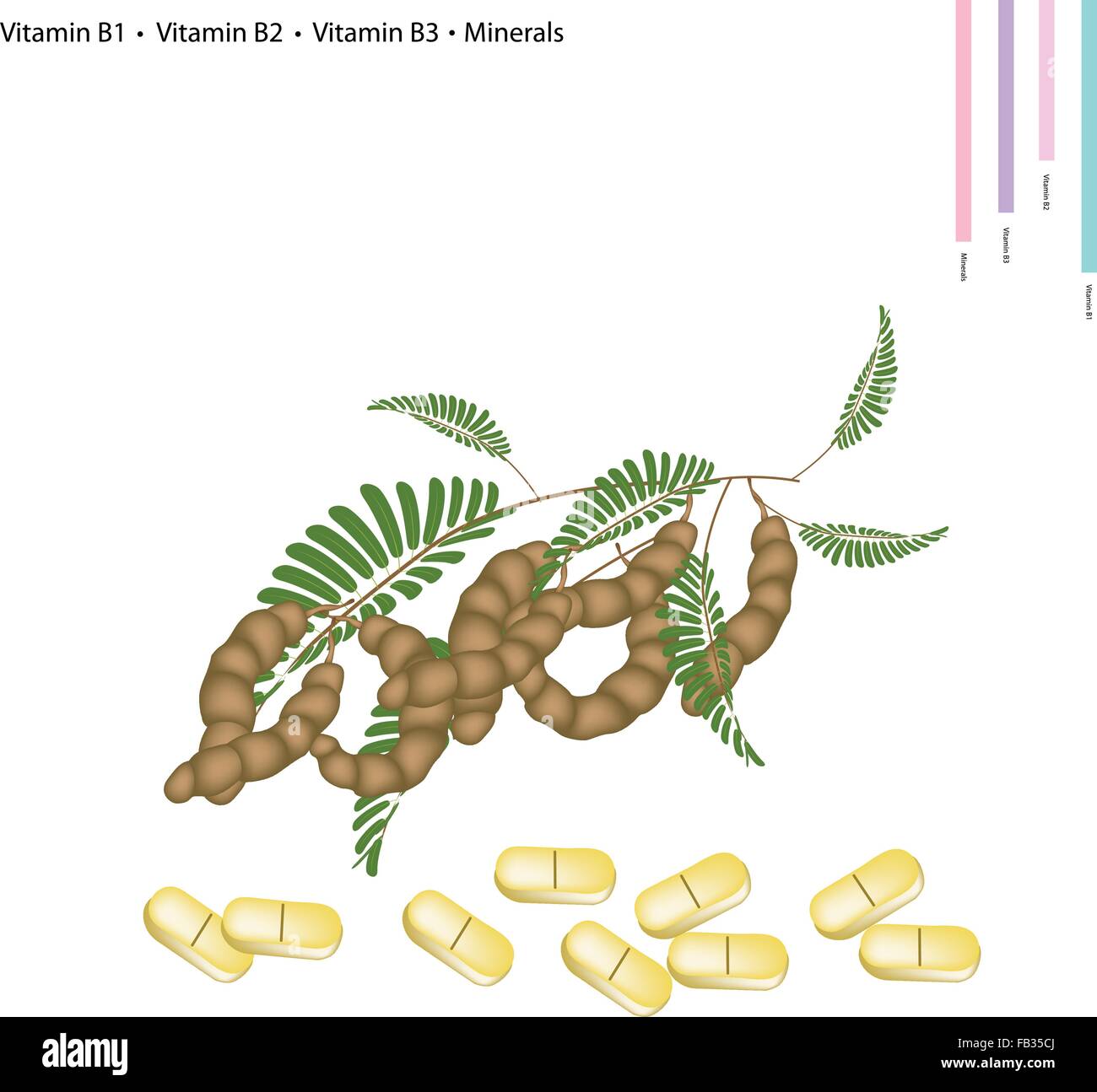 Healthcare Concept, Illustration of Raspberries and Blackberrie with Vitamin B1, Vitamin B2, Vitamin B3 and Minerals Tablet, Ess Stock Vector