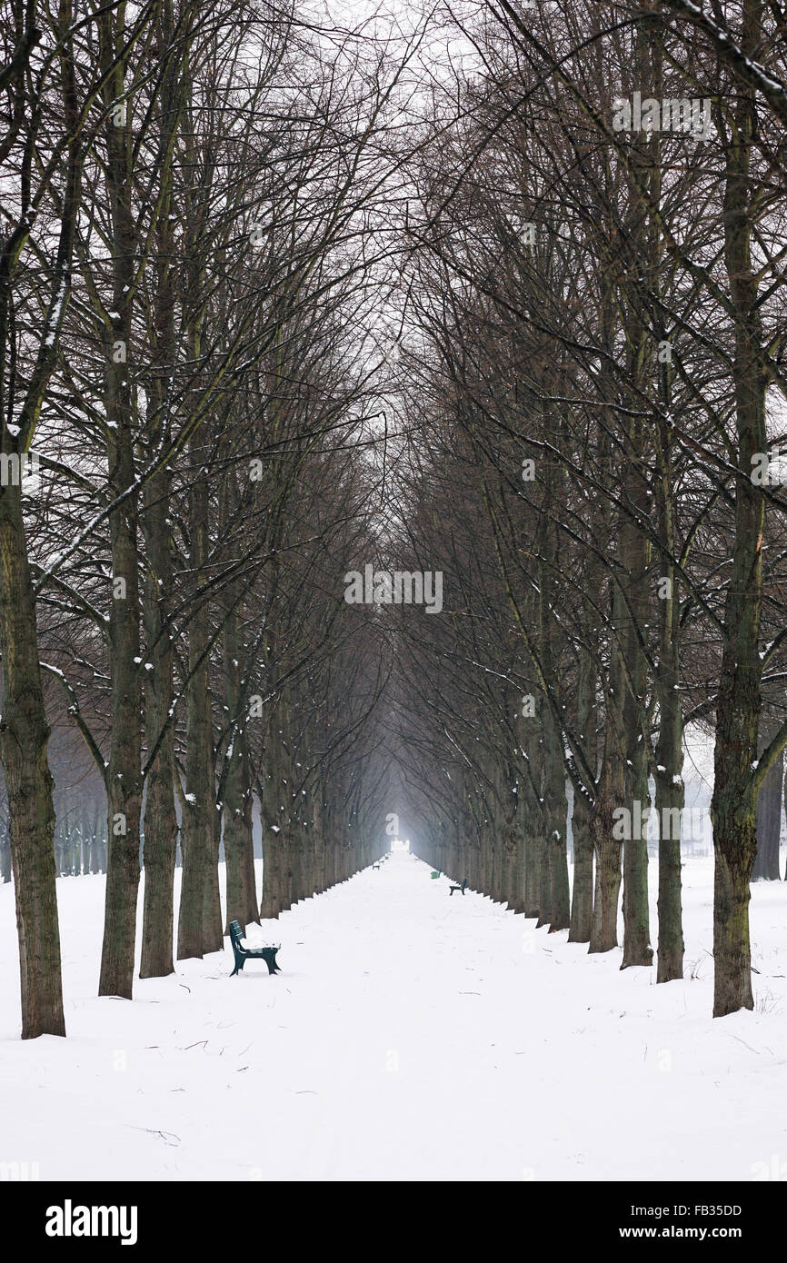 empty alley in winter Stock Photo - Alamy