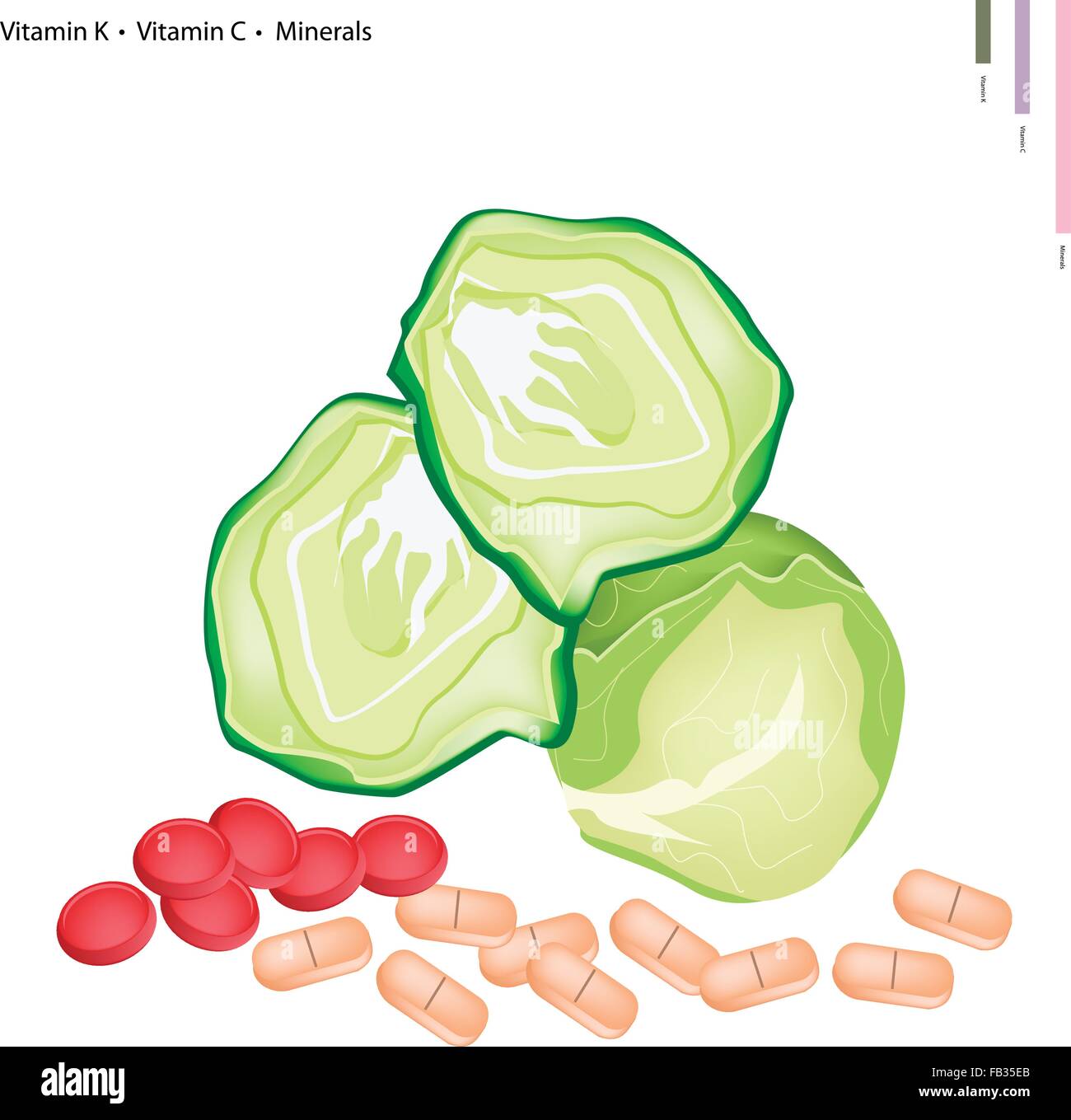 Healthcare Concept, Illustration of Cabbage with Vitamin K, Vitamin C