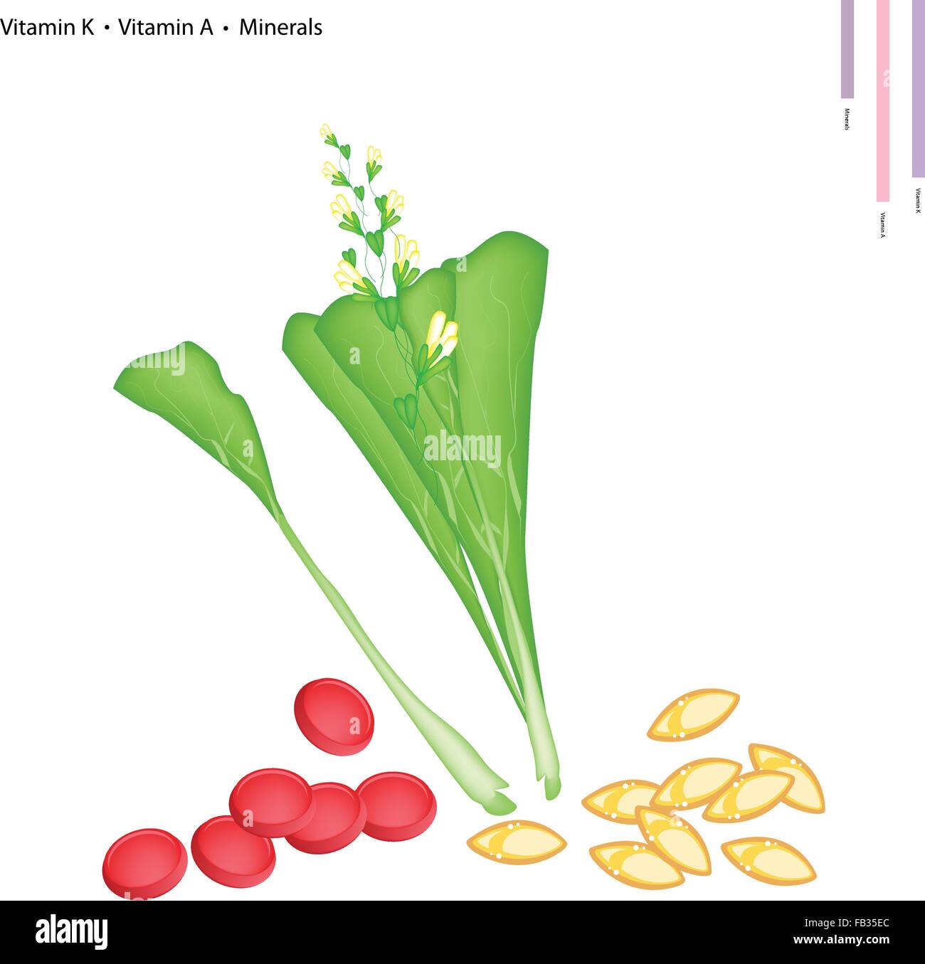 Healthcare Concept, Illustration of Chinese Flowering Cabbage with