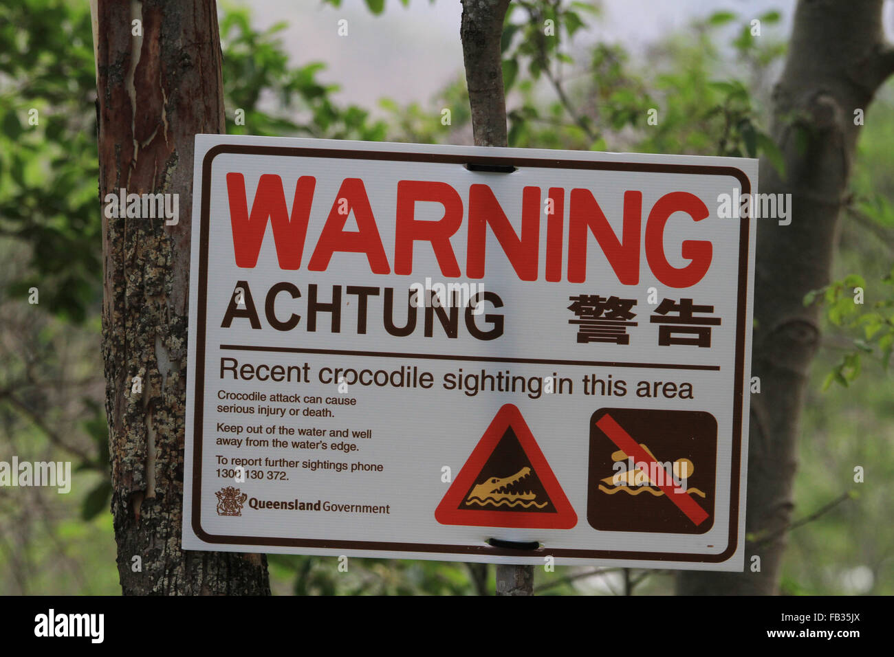 Crocodile warning sign, Townsville, Australia Stock Photo