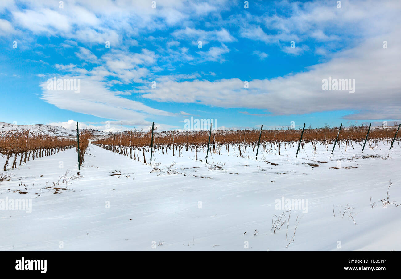 snow, winter landscape in the north of Israel Stock Photo