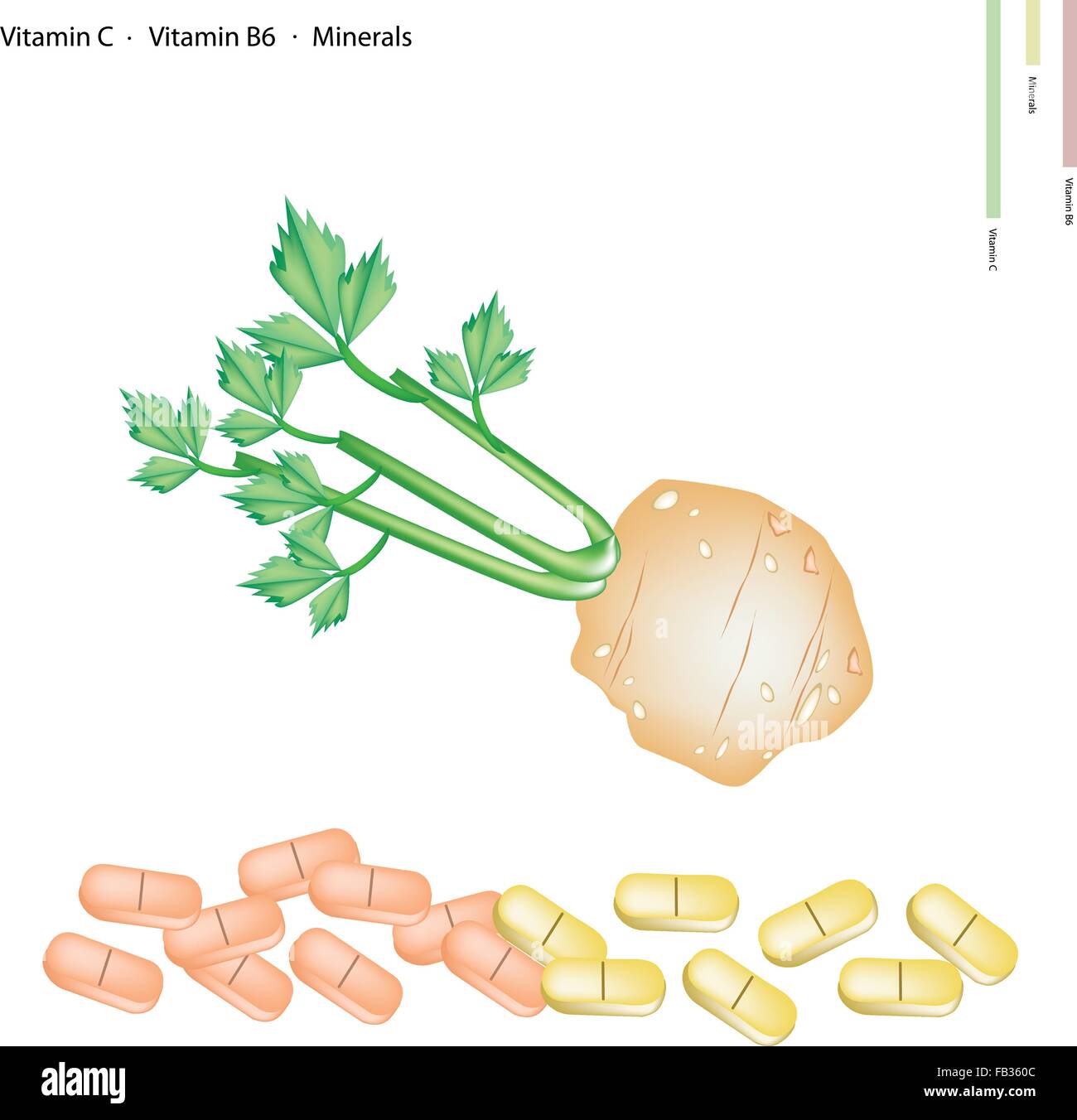 Healthcare Concept, Illustration of Root of Celery with Vitamin C