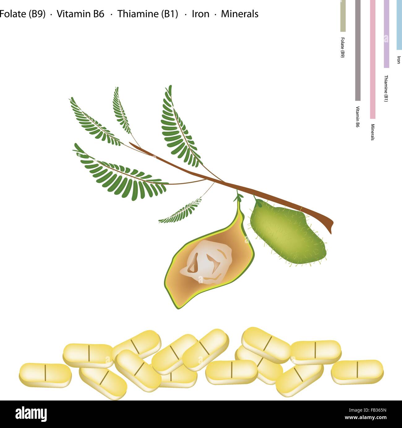 Healthcare Concept, Illustration of Garbanzo Beans or Chickpea with