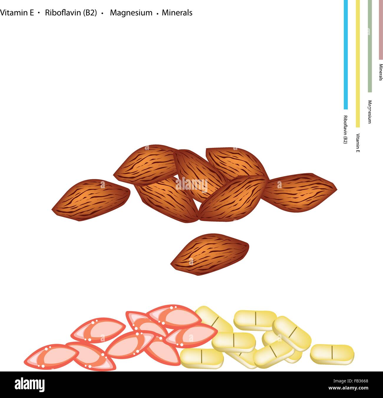Healthcare Concept, Illustration of Almonds with Vitamin E, Riboflavin
