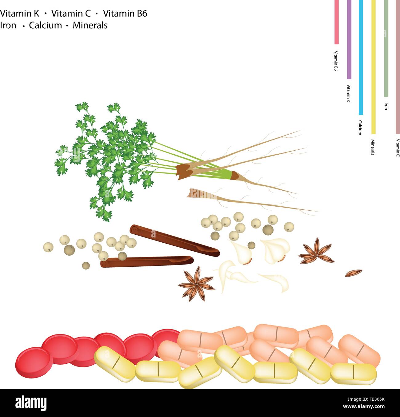 Healthcare Concept, Star Anise, Cinnamon Sticks, Dry Peppercorns, Garlic and Coriander with