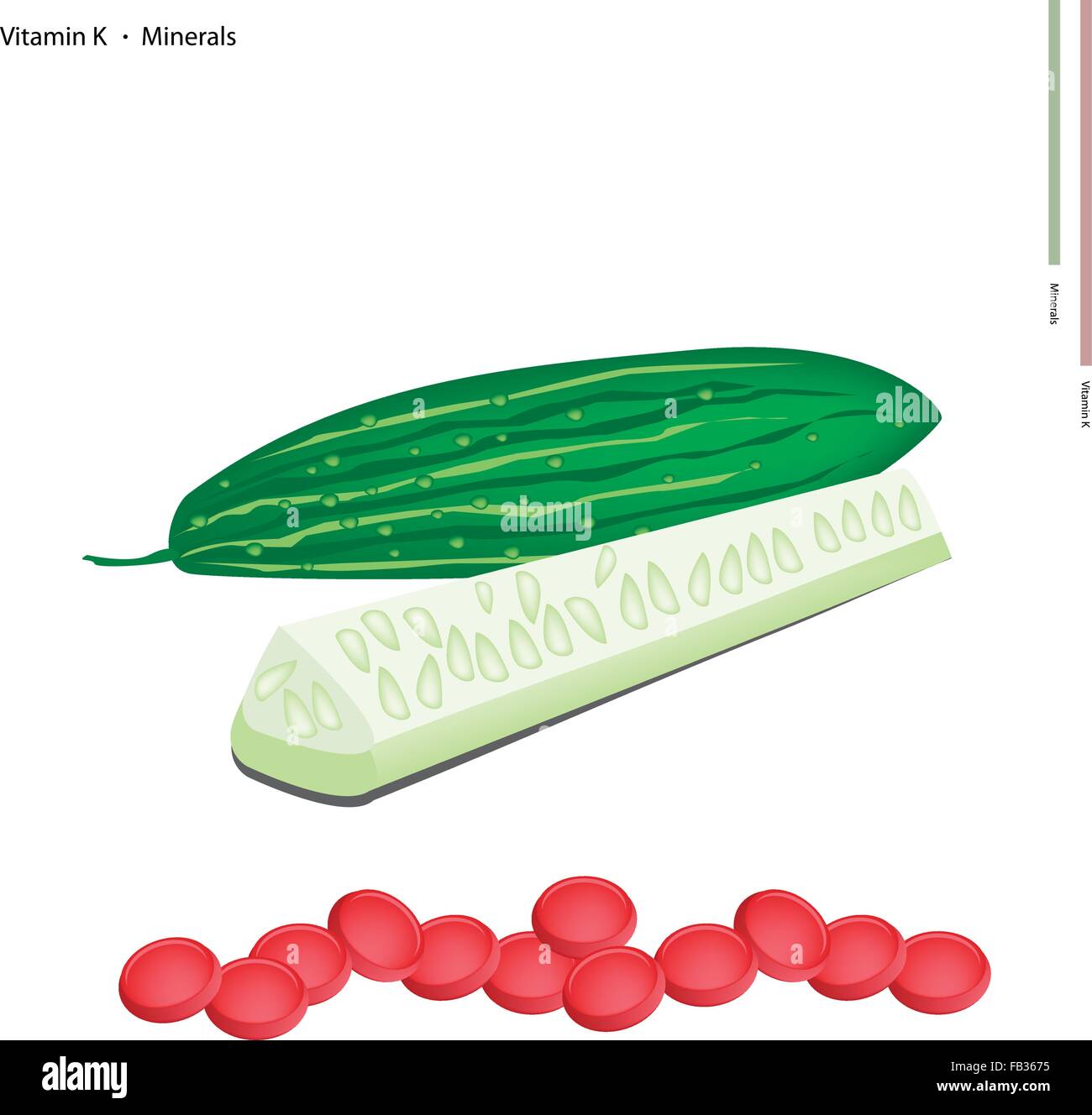 Healthcare Concept, Illustration of Marrows or Cucumbers with Vitamin K and Minerals Tablet