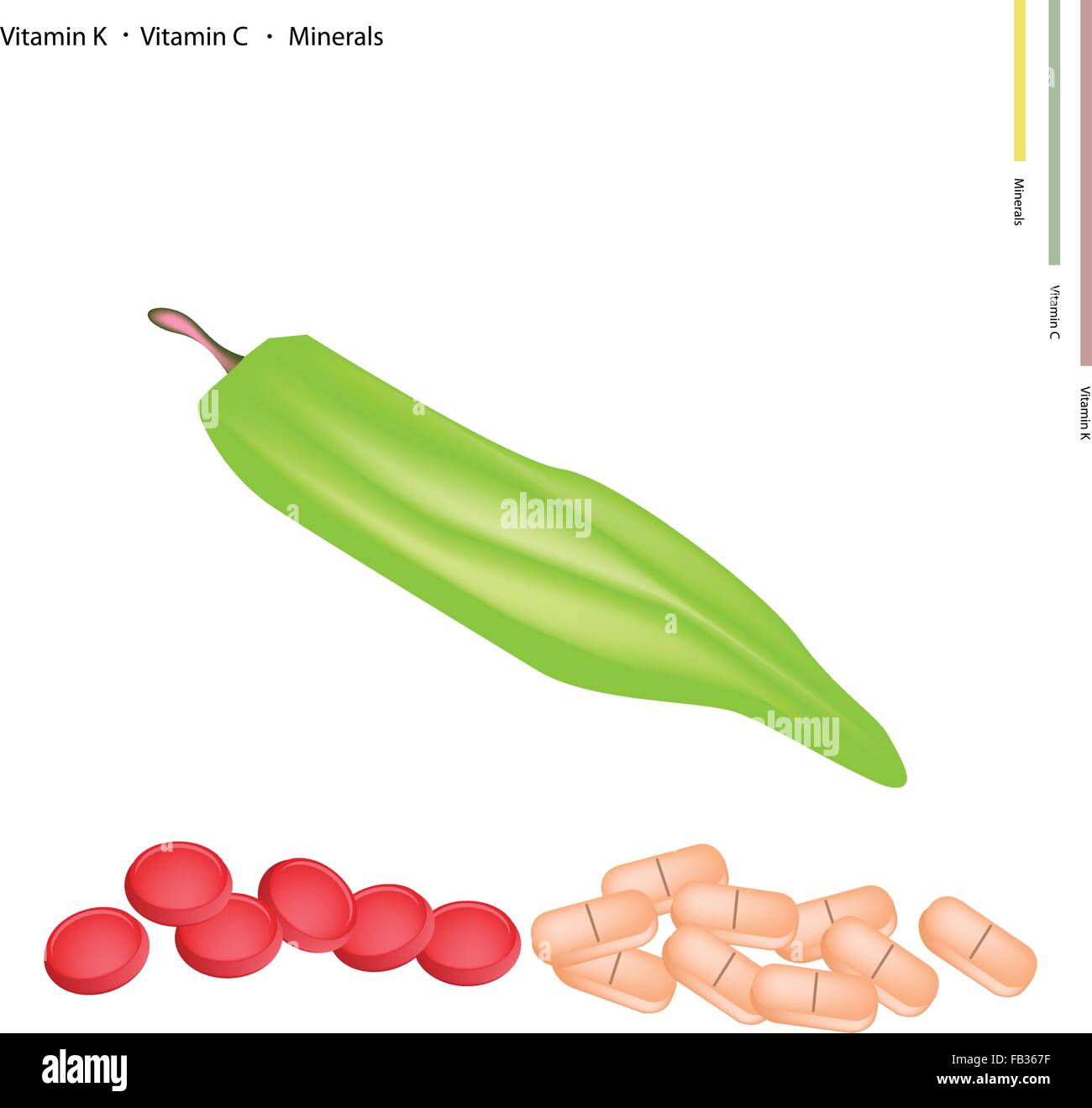 Healthcare Concept, Illustration of Fresh Okra or Lady Finger with