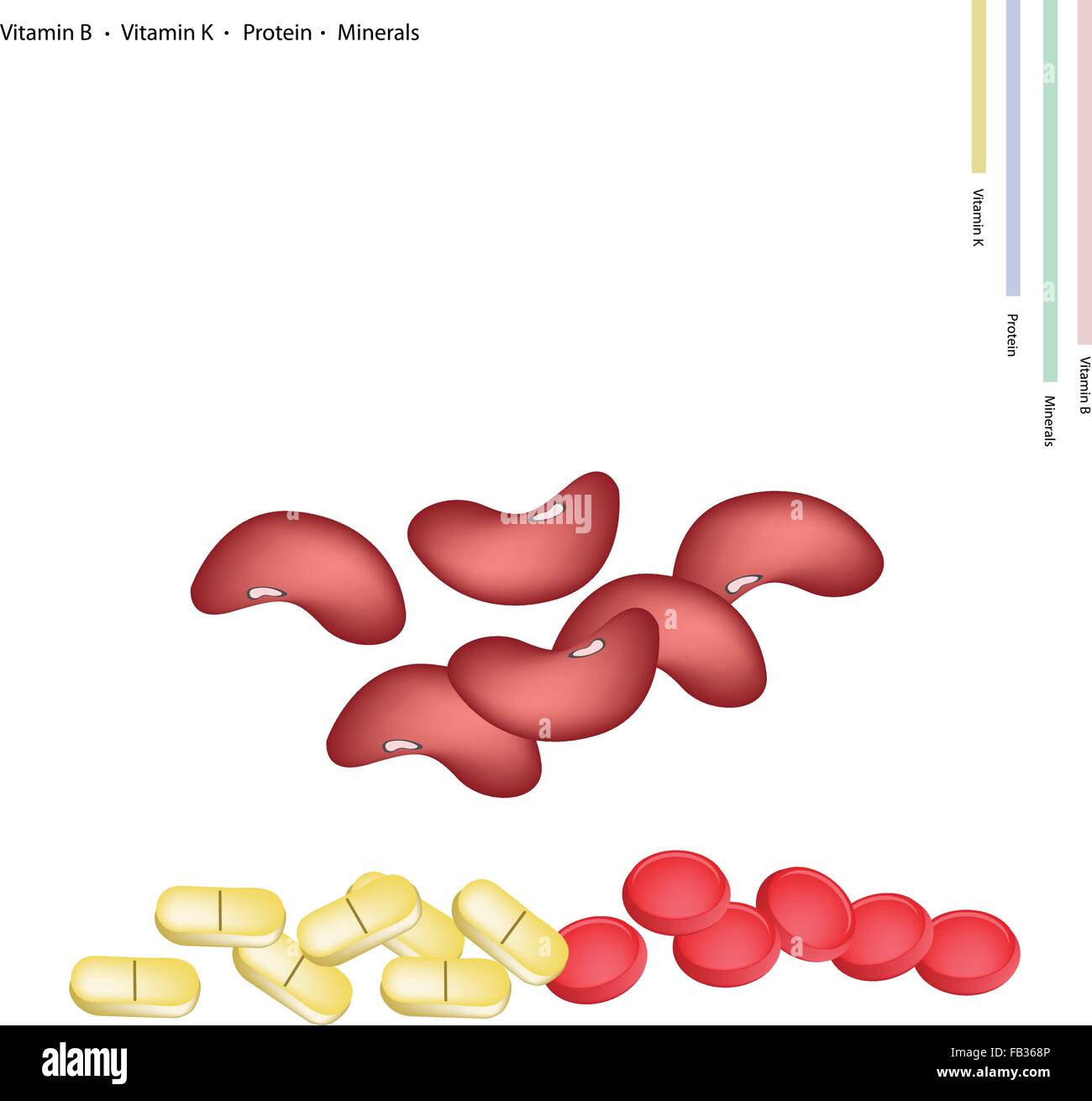 Healthcare Concept, Illustration of Kidney Bean with Vitamin B, Vitamin