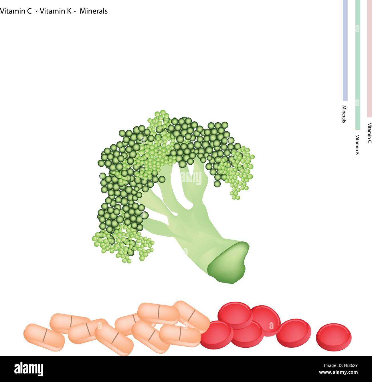 Healthcare Concept, Illustration of Broccoli with Vitamin C, Vitamin K
