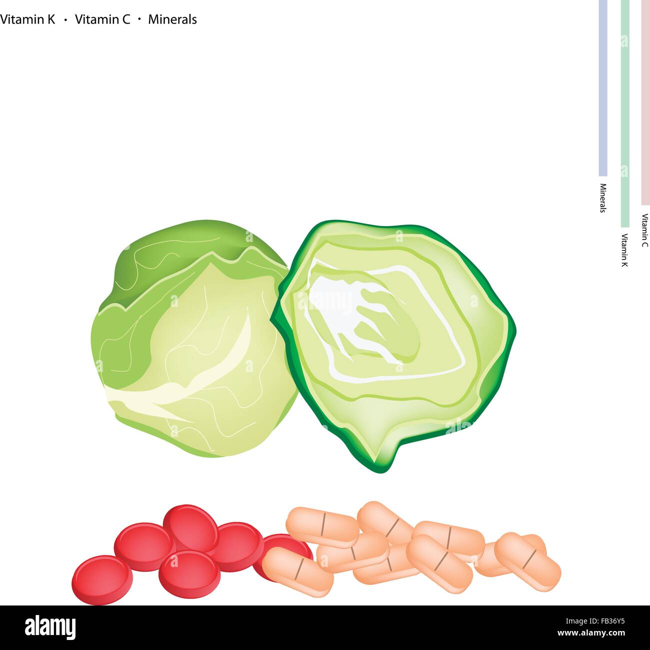 Healthcare Concept, Illustration of Cabbage with Vitamin K, Vitamin C